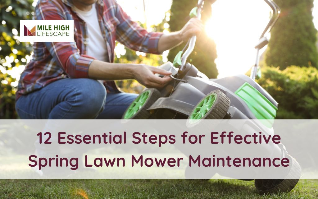 spring lawn mower maintenance