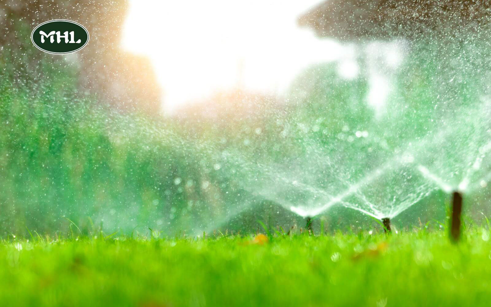 4 Common Causes Of Soft Spots In Yard: A Faulty Sprinkler System