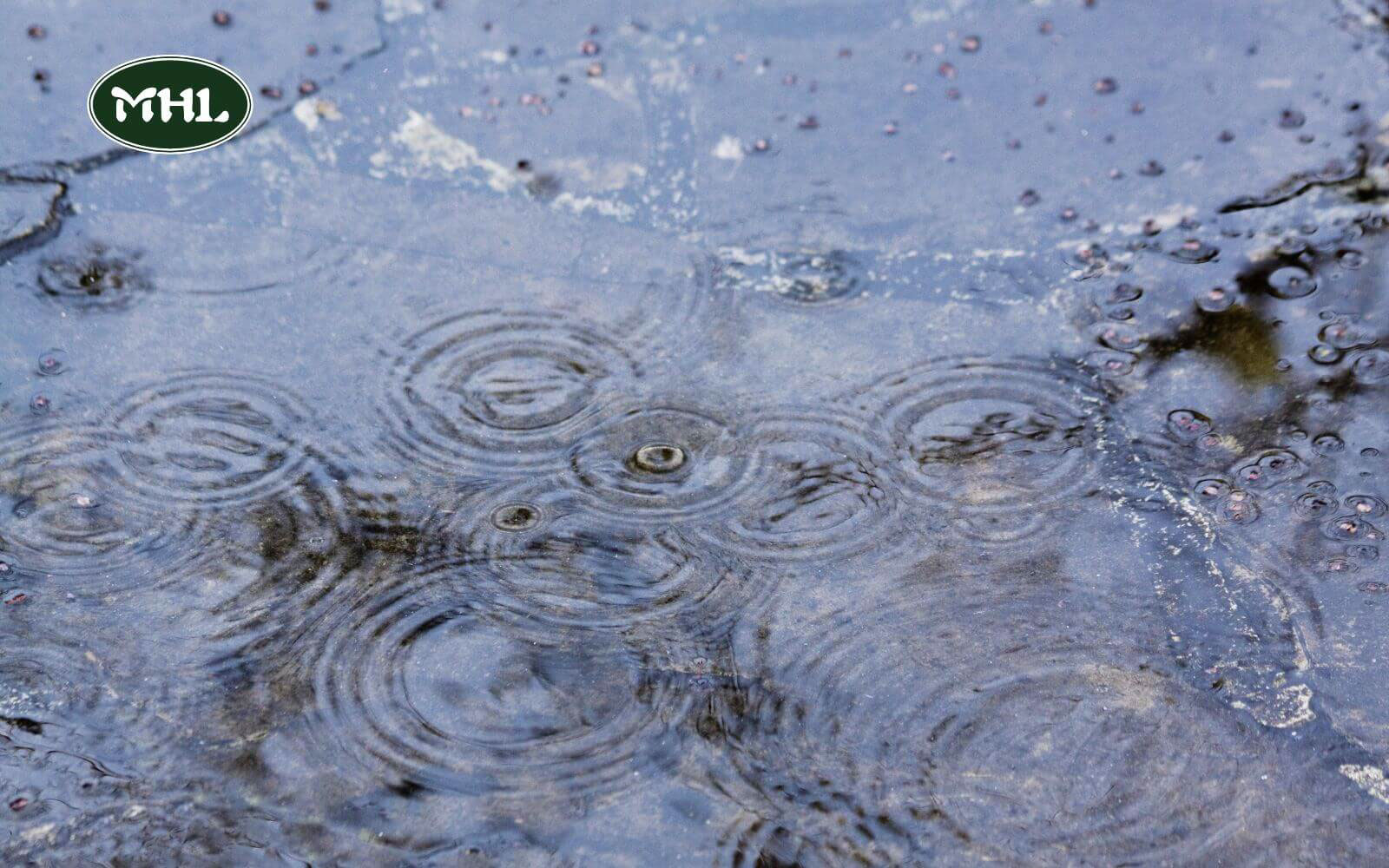 4 Common Causes Of Soft Spots In Yard: Poor Drainage