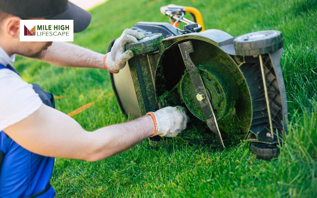 Inspect the Mower for Winter Damage