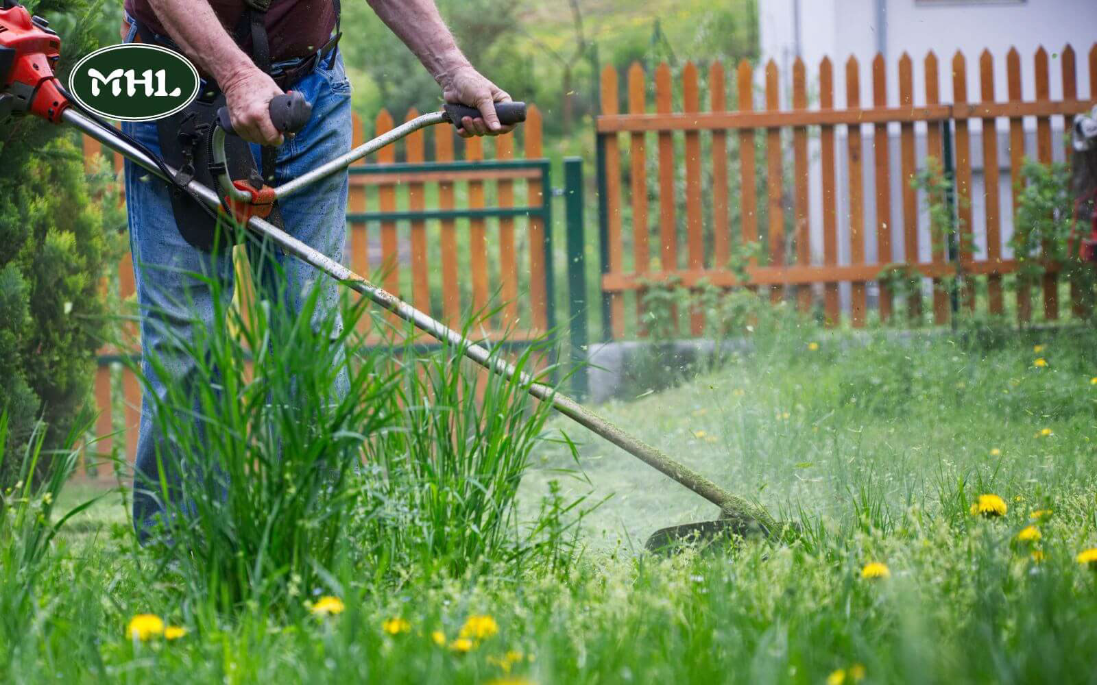 How To Prevent Future Soft Spots In Yard? Watering And Mowing Best Practices