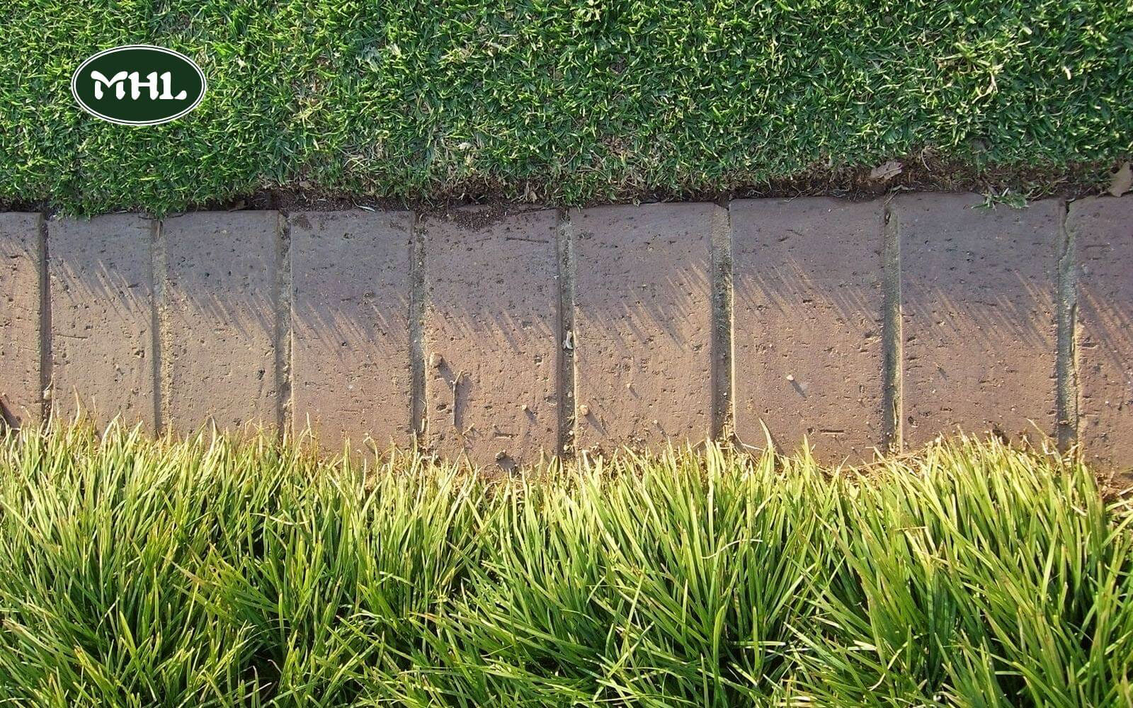 10 Steps To Install Lawn Edging: Check If There Are Any Jagged Areas