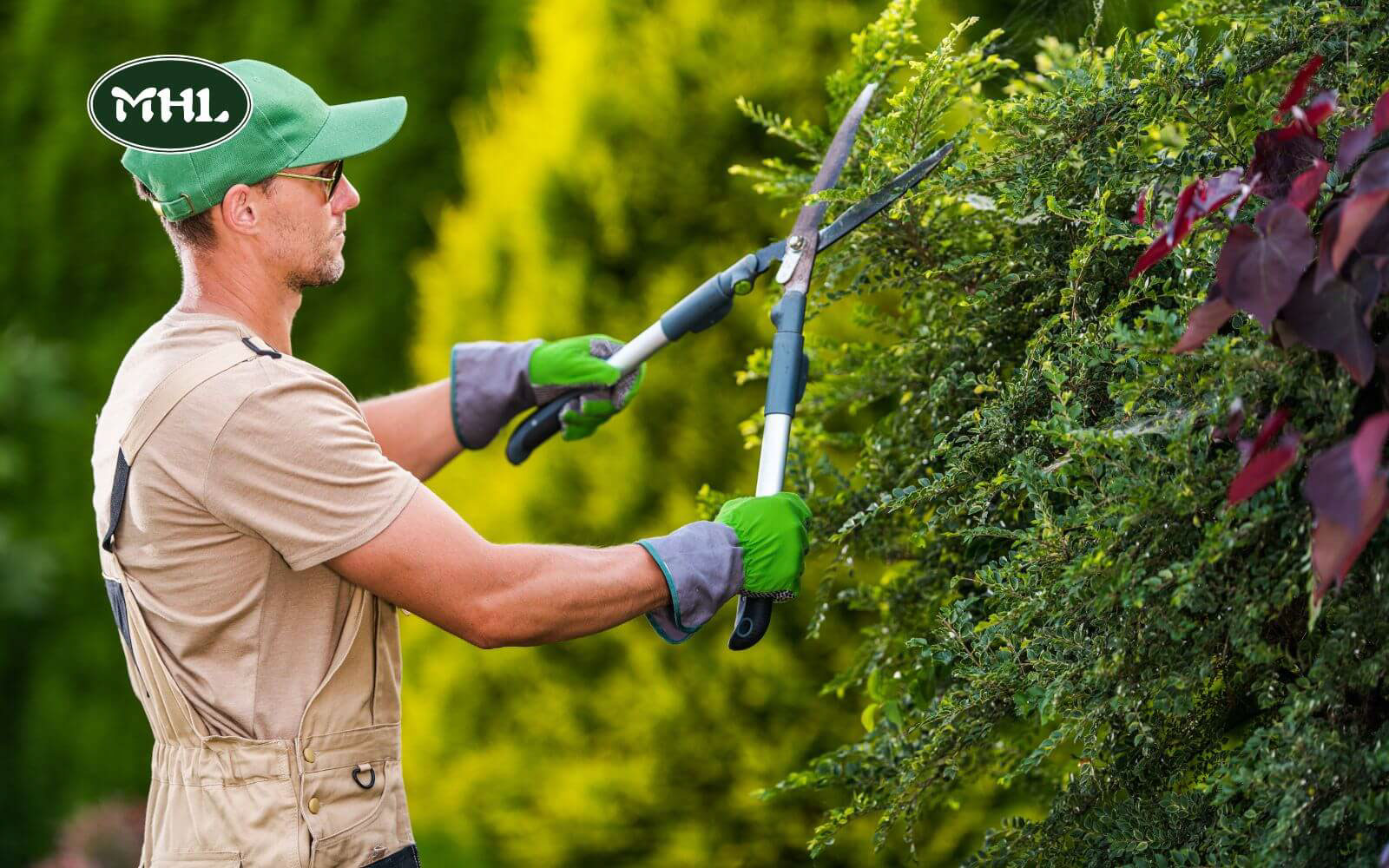 10 Steps To Install Lawn Edging: Prune And Trim Shrubs And Bushes