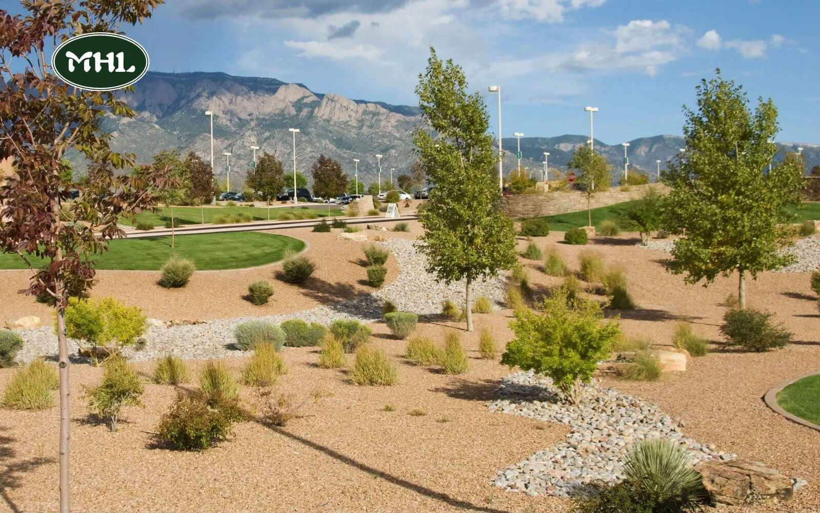 The Drawbacks Of Xeriscape Landscaping: More Time And Money For The Initial Set-Up