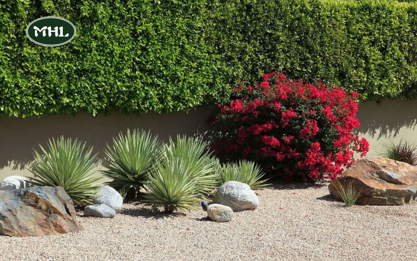 The Drawbacks Of Xeriscape Landscaping: Plant Selection Is Crucial