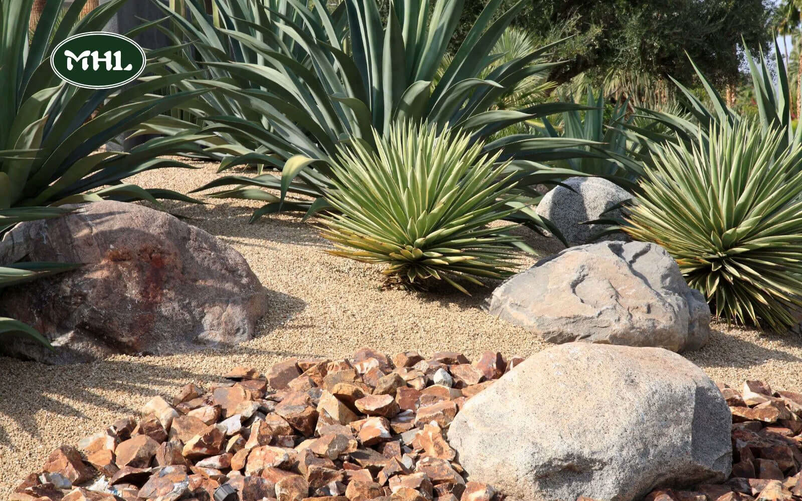 The Benefits Of Xeriscape Landscaping