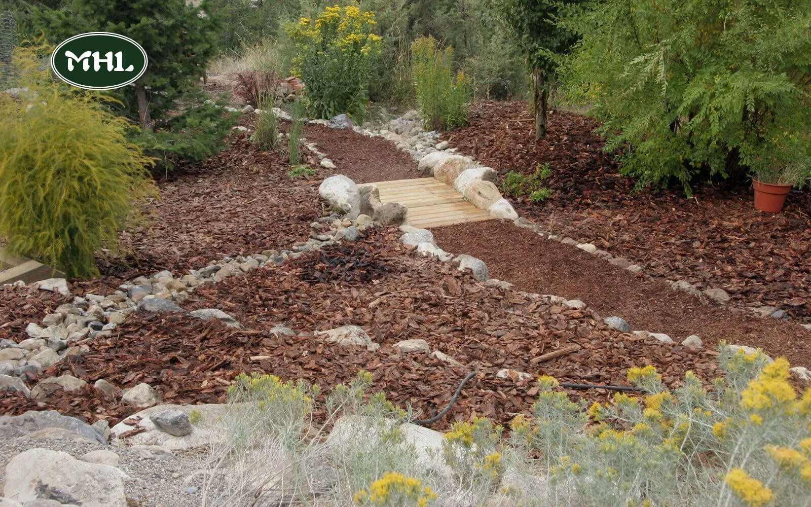 The Benefits Of Xeriscape Landscaping: Water Conservation