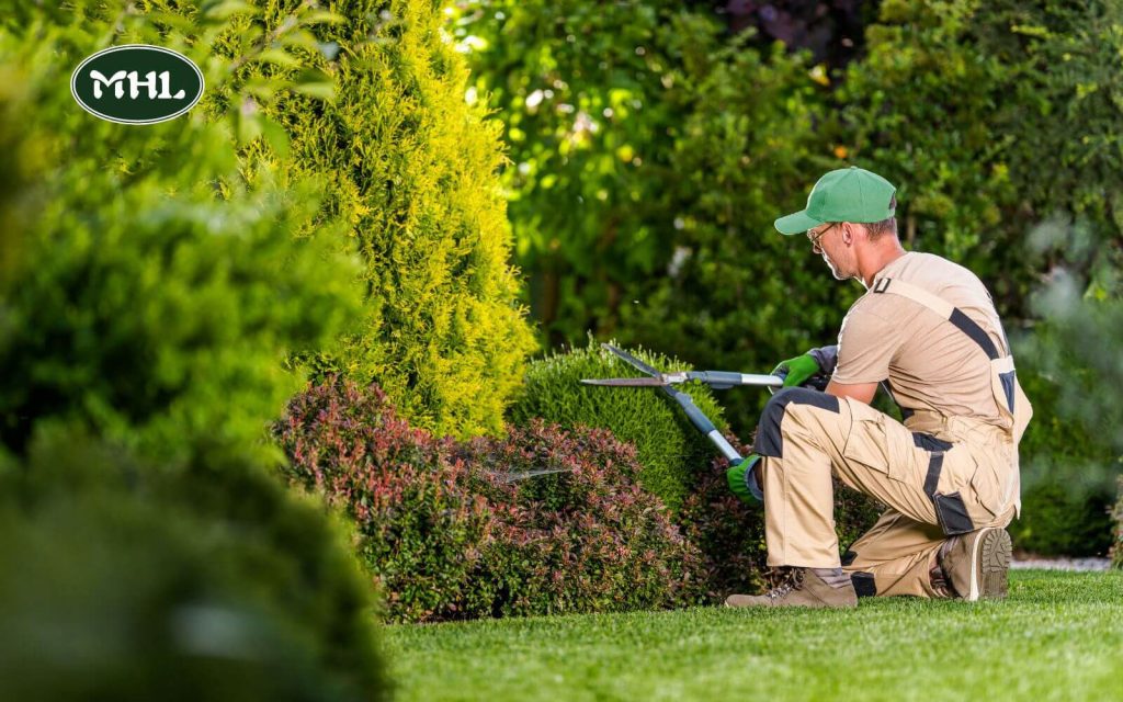 Why Does Landscape Maintenance Services Matter To Your Garden?