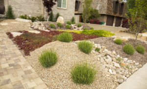 Best Xeriscaping Rock Selections 1 E1710988976458