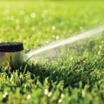 Lawn Sprinkler System