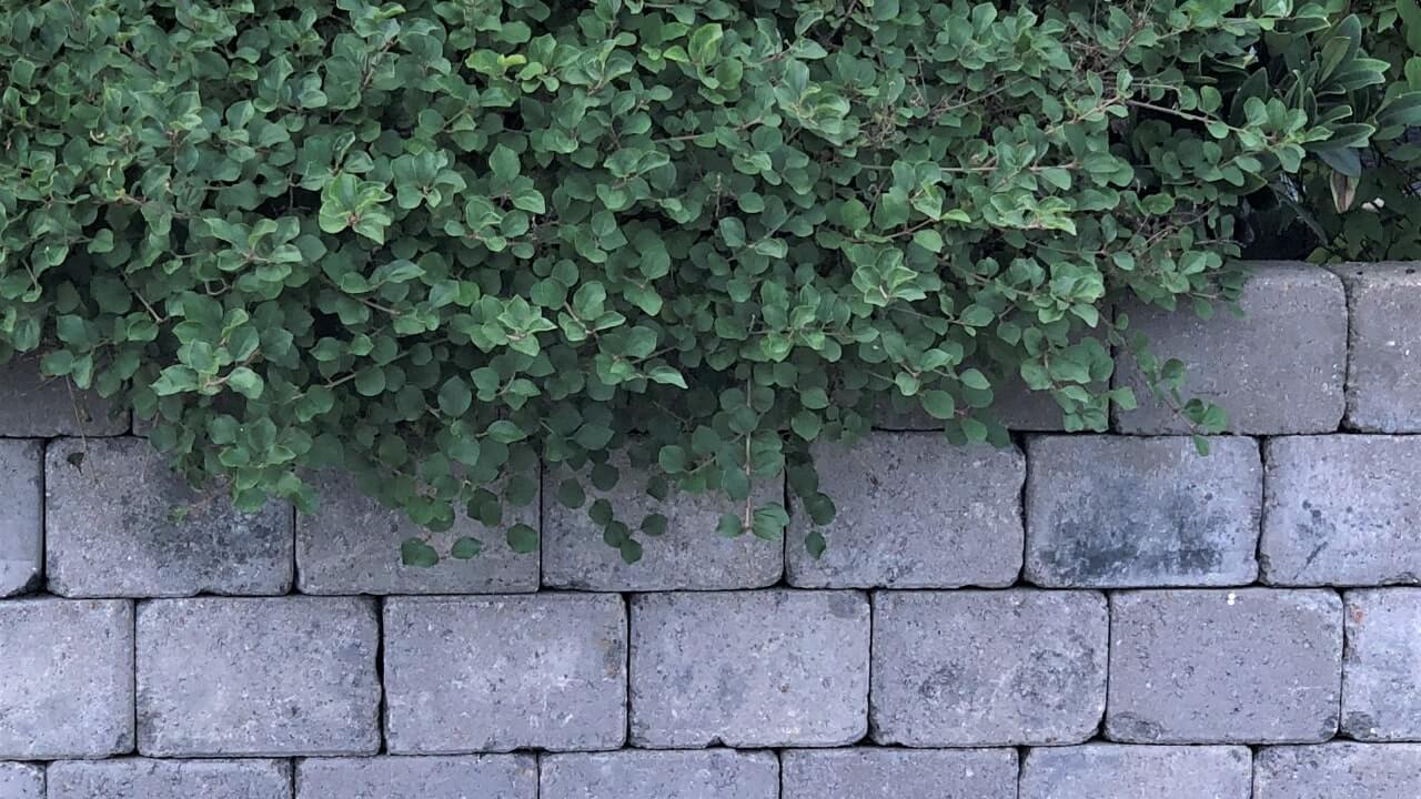 4 Most Common Types Of Retaining Walls