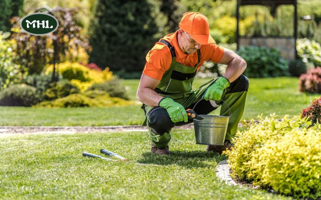 Factors To Consider For Your Front Yard Landscaping Ideas: Maintenance Requirements