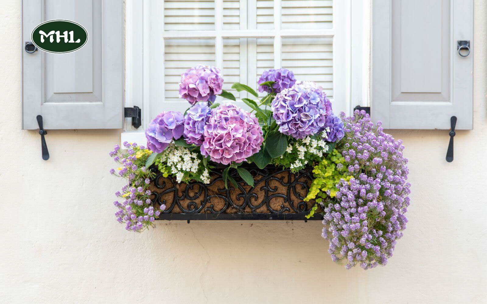 17 Low-Maintenance Front Yard Landscaping Ideas: Vibrant Window Boxes