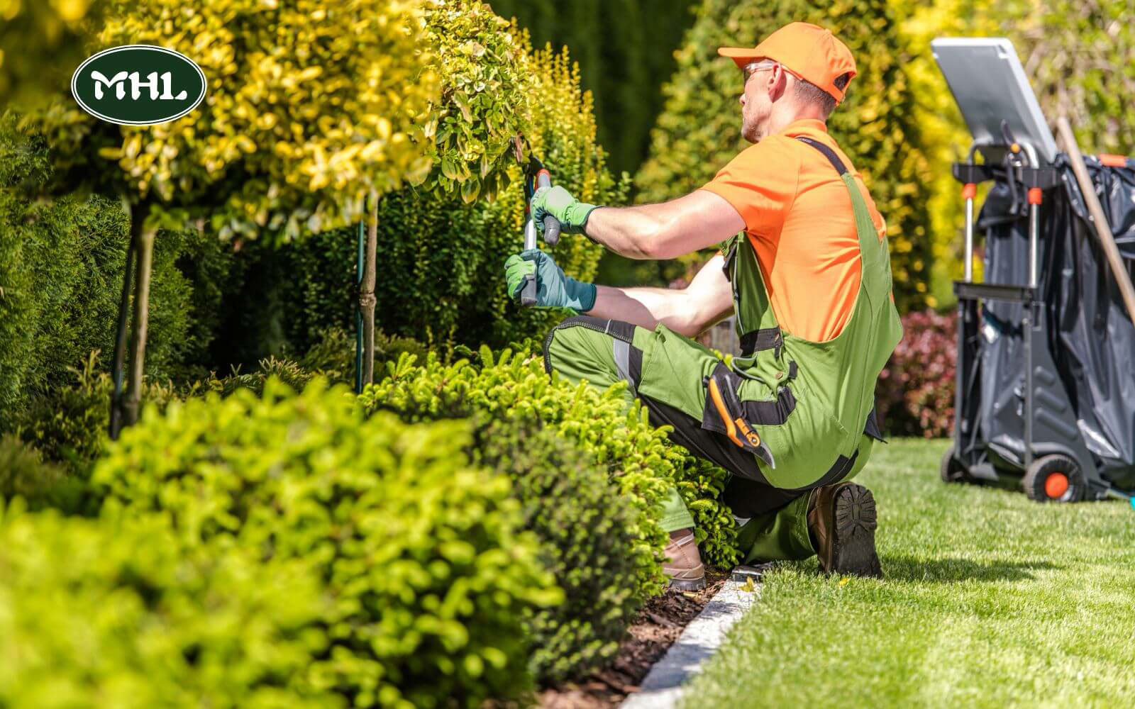 8 Signs That You Need Tree And Landscaping Services