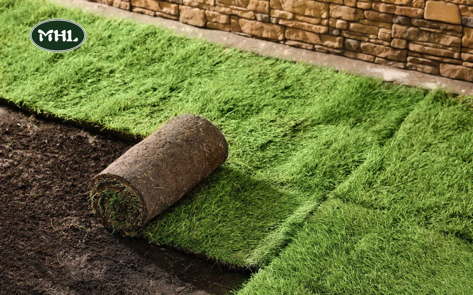 4 Common Lawn Installation Options: Sod