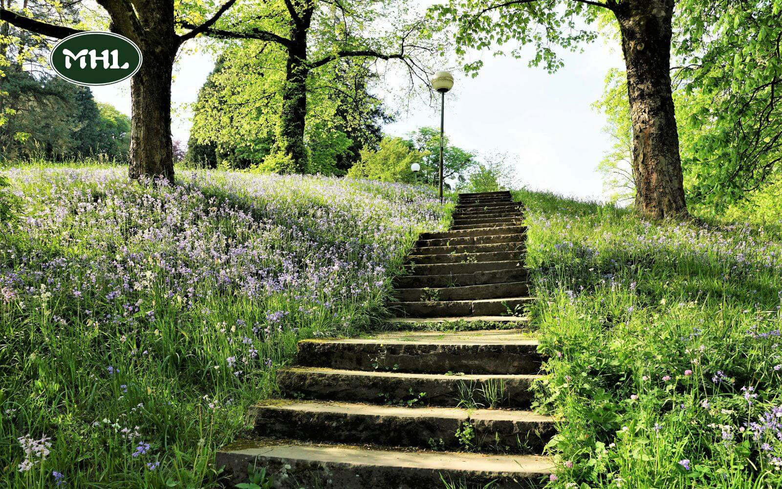 Retaining Wall Stairs Ideas: Gravel Steps