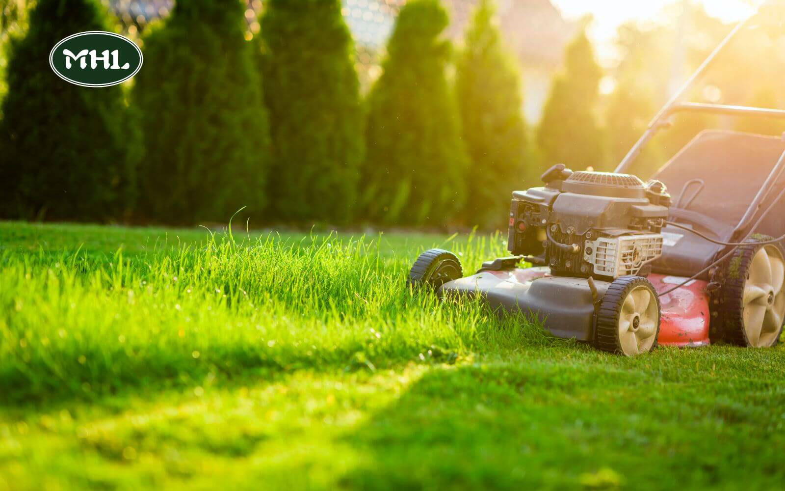 How Much Does Lawn Installation Cost In Denver?