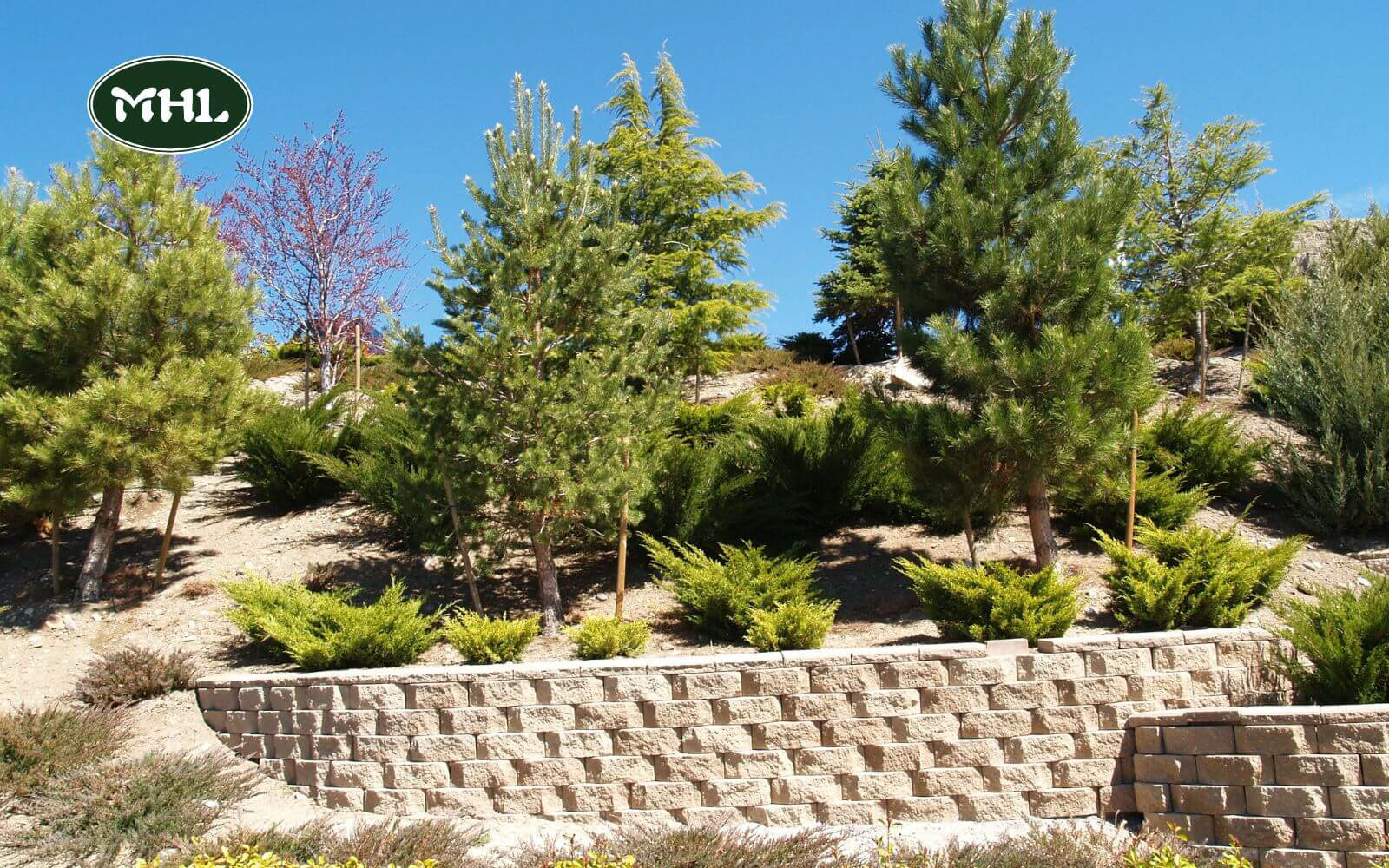 Types Of Retaining Walls: Level Uneven Terrain And Offer Structural Support