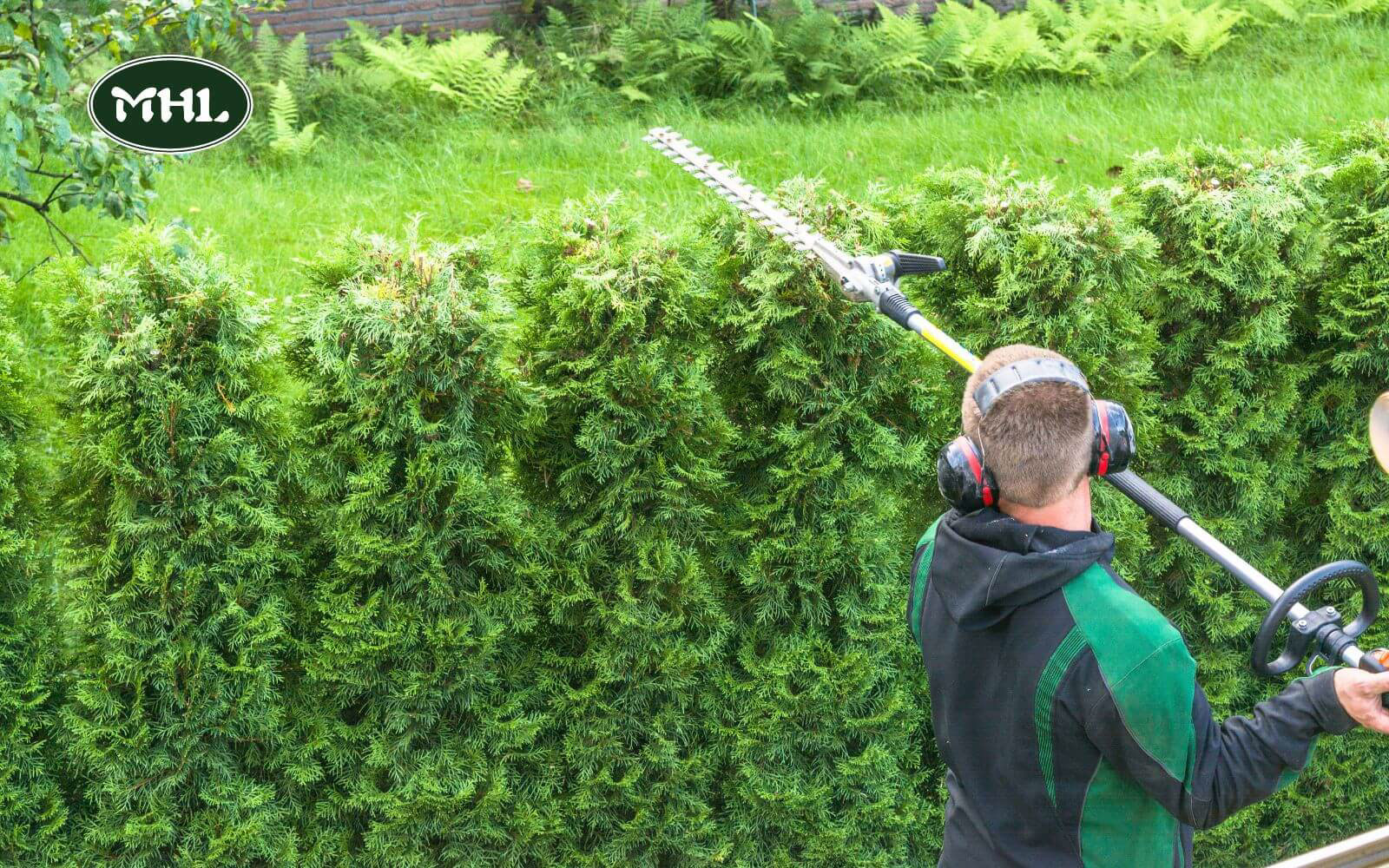 Tree And Landscaping Services, Landscaping Service: Pruning/Hedging