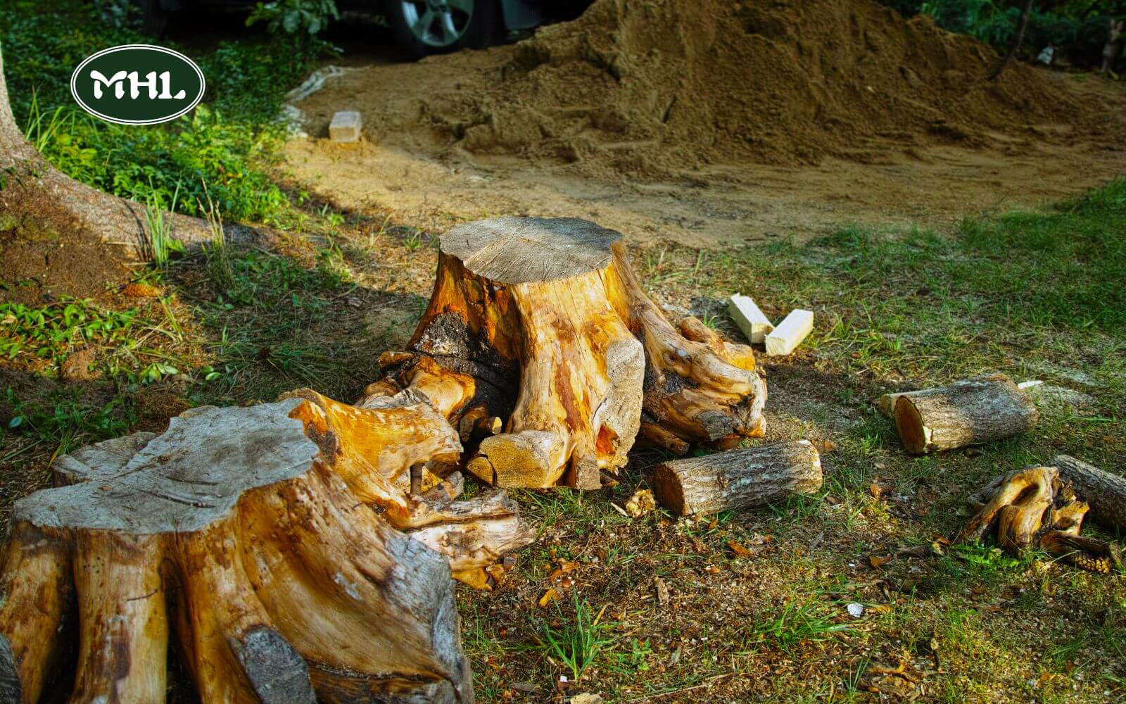 Tree And Landscaping Services, Tree Service: Removing Stumps