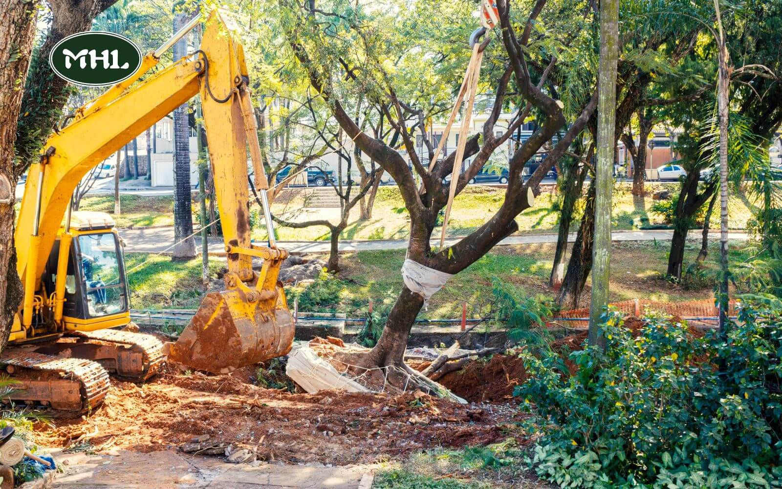 Tree And Landscaping Services, Tree Service: Removing Trees During Emergencies