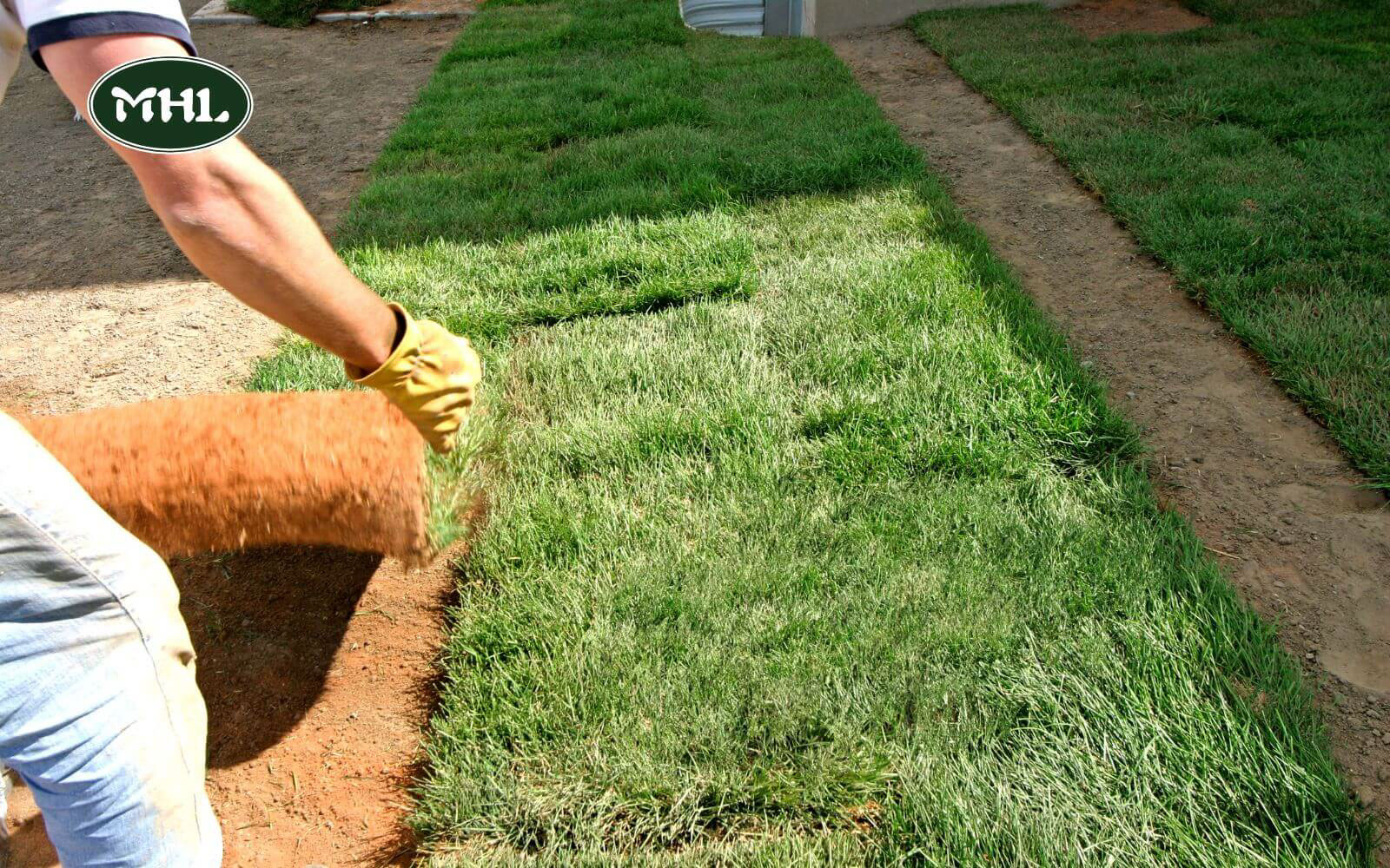 Lawn Installation: Sod Installation