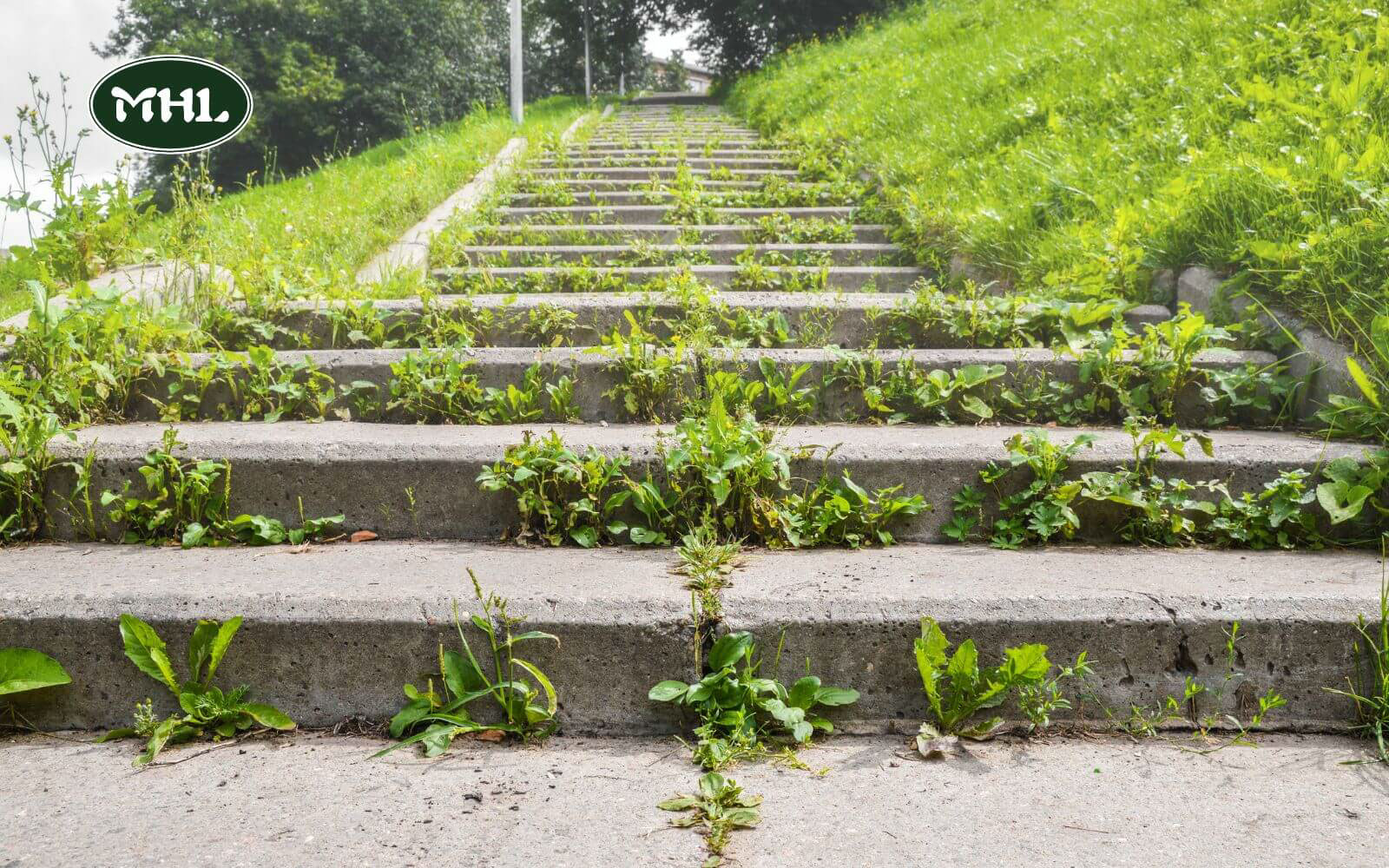 Tips To Maintain The Beauty Of Your Retaining Wall Stairs