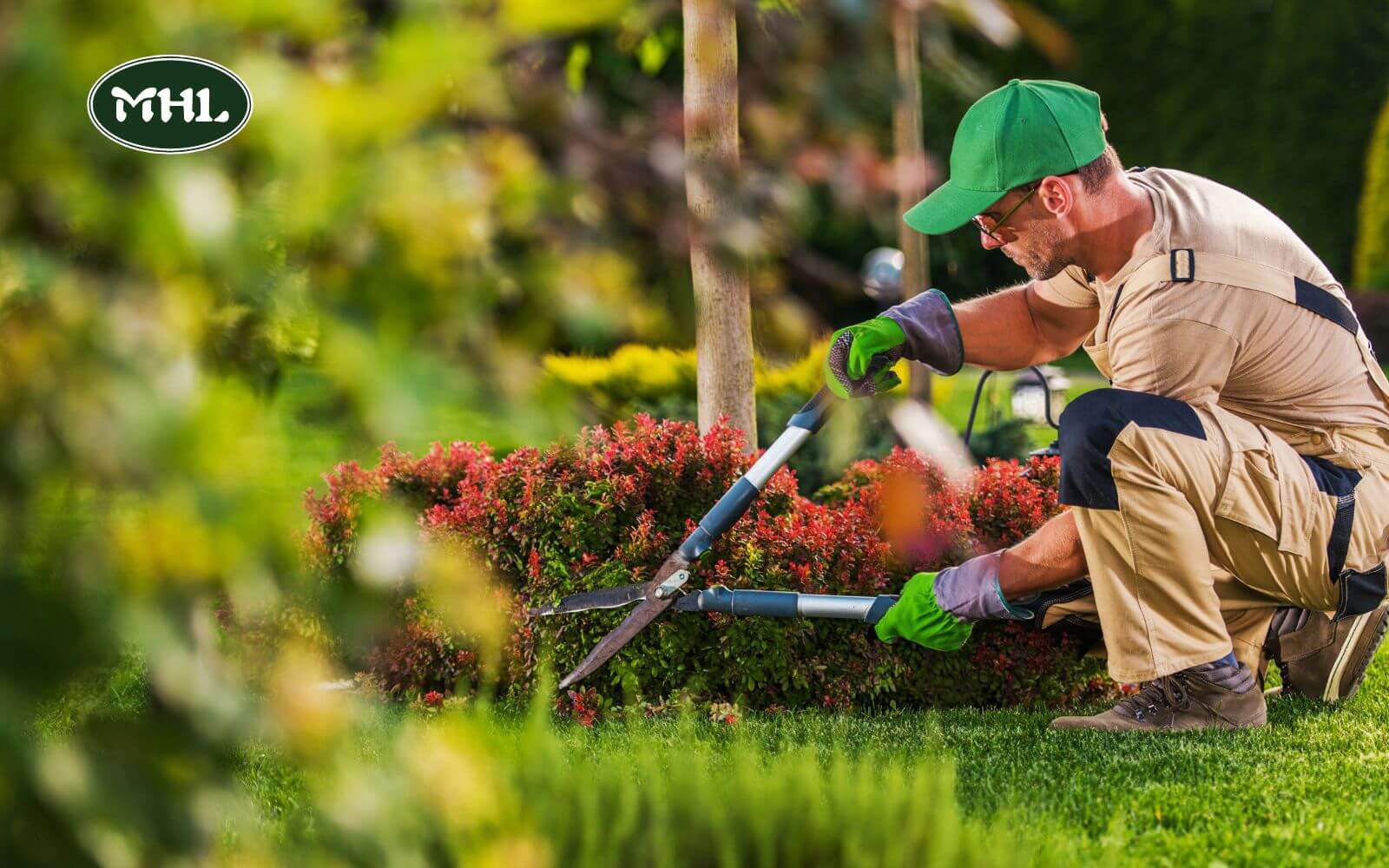 Tree And Landscaping Services: Tree Services In Depth