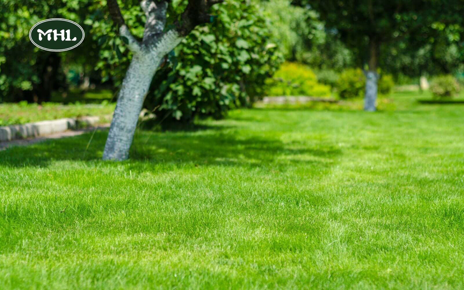 What Is Lawn Installation?