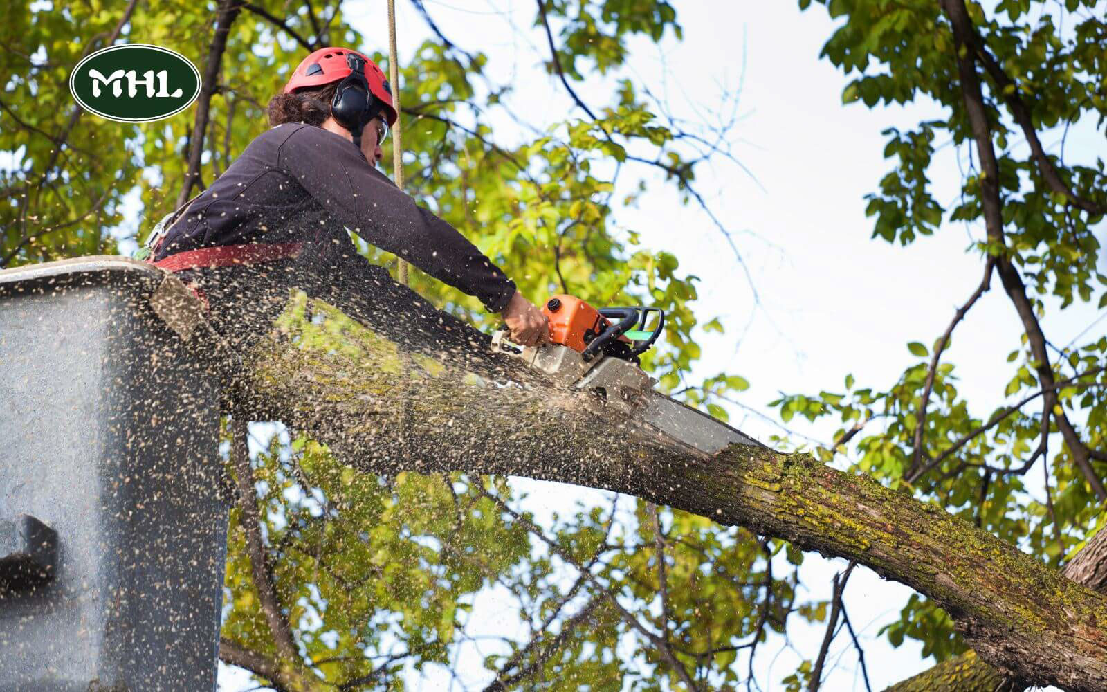 What’s The Difference Between Tree And Landscaping Services?