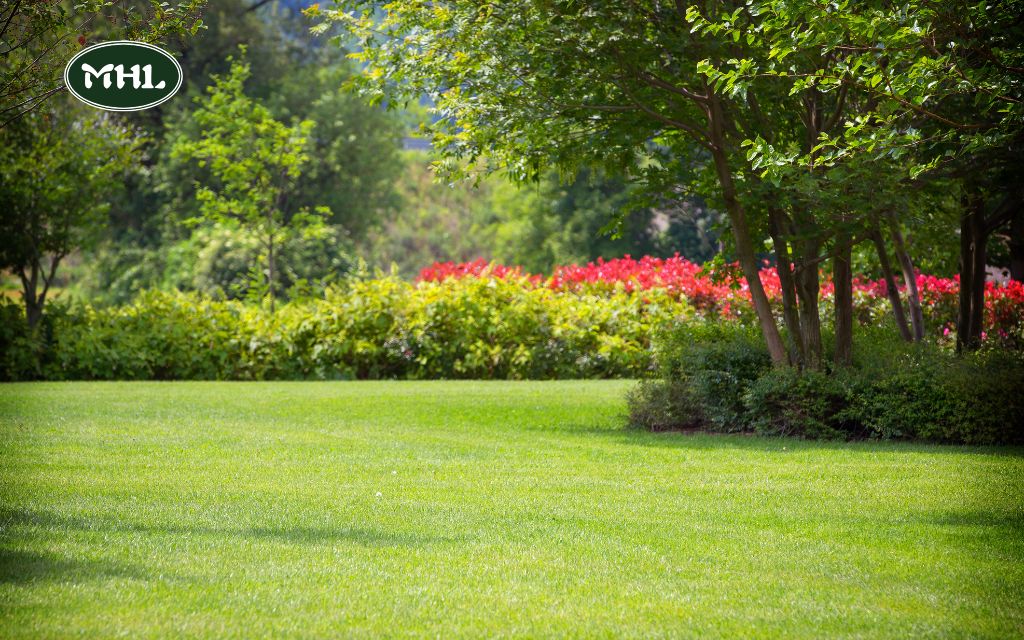 spring lawn landscaping tips