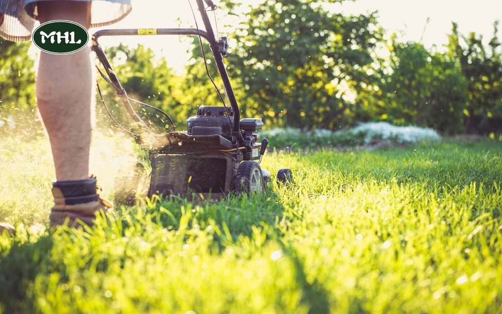 5 Common Lawn Mowing Problems in Spring