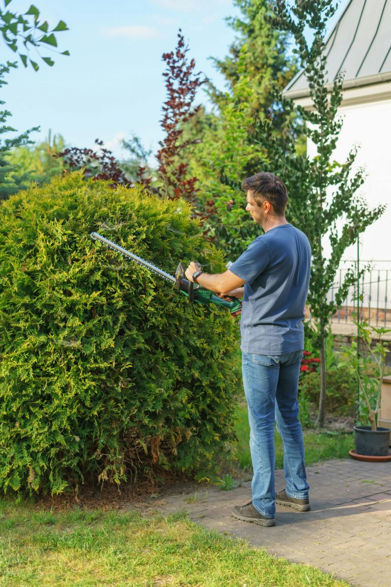Landscaping Services Process at Mile High Lifescape