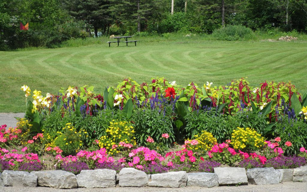 Annual Flower Bed with Rotating Zinnias and Petunias