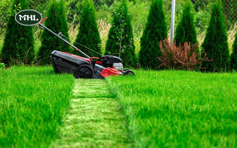 Best Time to Mow Lawn: Expert Tips for a Healthy Yard