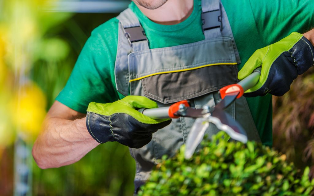 Components of Tree and Lawn Care Services