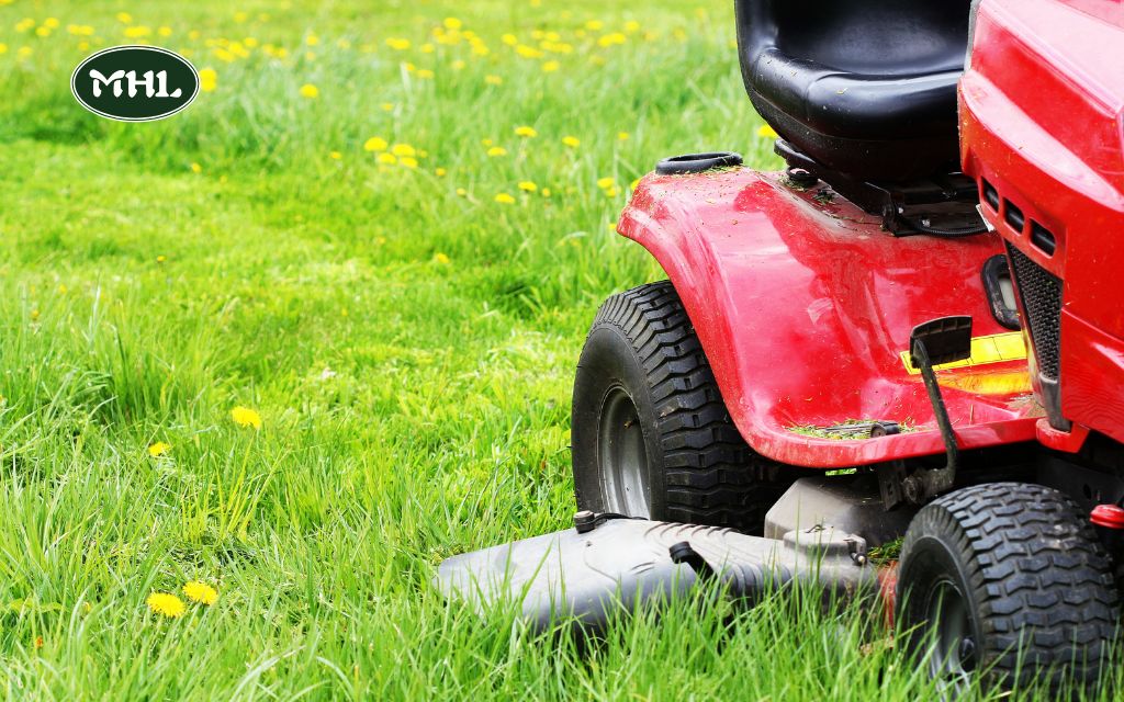 Denver Lawn Care Tips for Spring