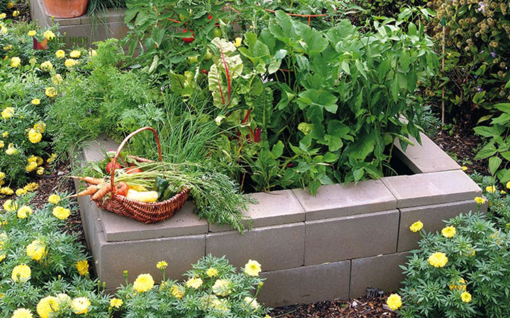 Elevated Cinder-Block Flower Beds