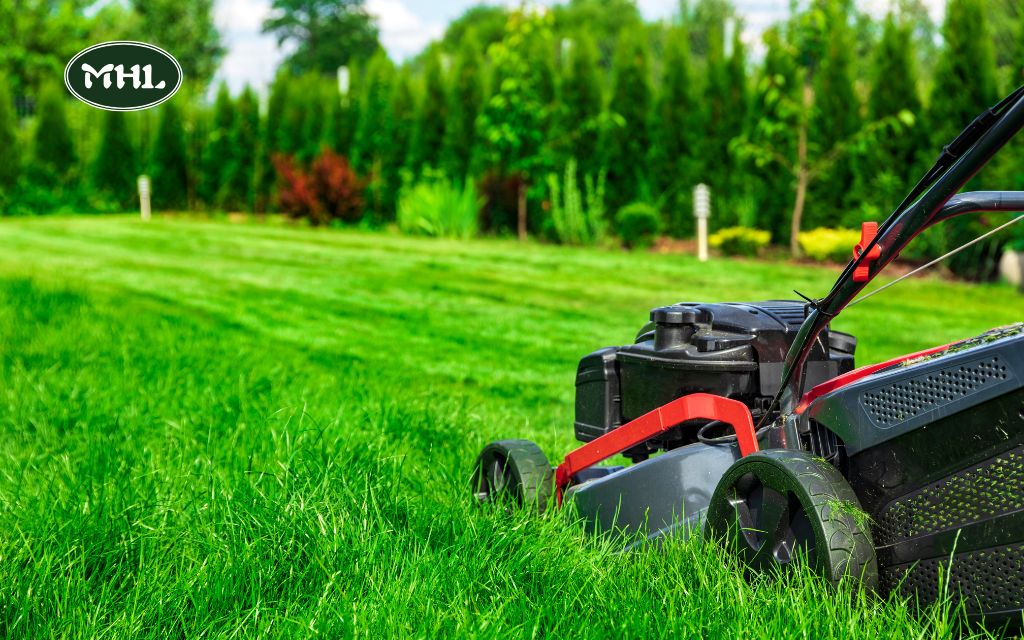 Expert Lawn Care Denver: Top Tips and Services to Keep Your Lawn Healthy