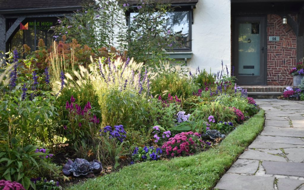 Fall Color Bed: Rudbeckia, Asters, and Ornamental Kale