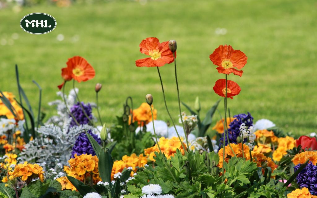 Flower Bed Ideas: Planning, Arranging, and Caring for Your Flower Bed