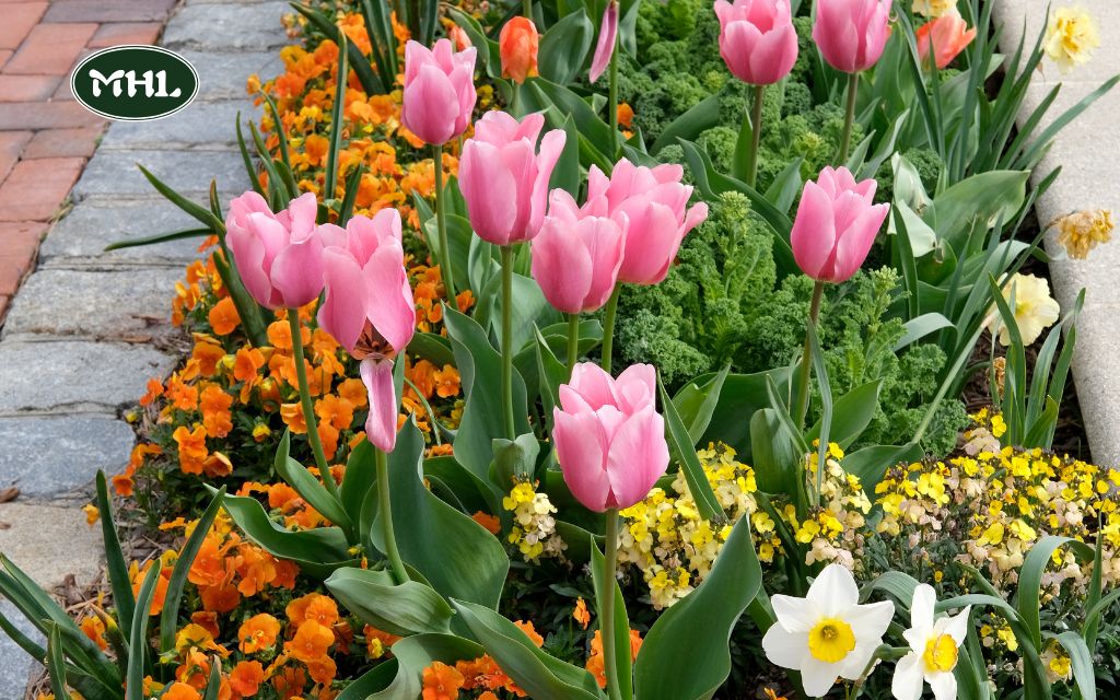 Flower Bed Ideas: What Is Best To Put In Flower Beds? And How To Design Flower Beds