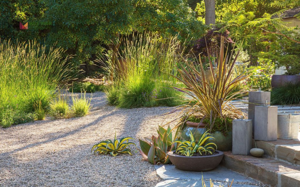 Gravel and Pavers with Drought-Hardy Succulents