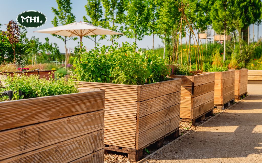 Grow Vegetables in Containers