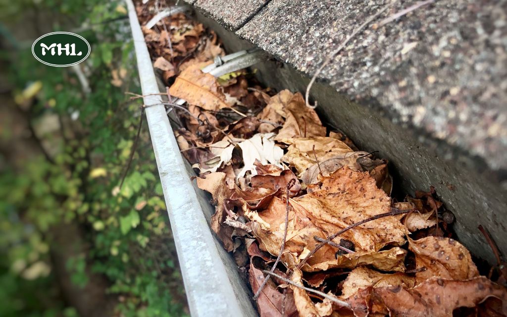 Gutter Cleaning Denver CO: A Homeowner's Guide to Maintenance and Safety