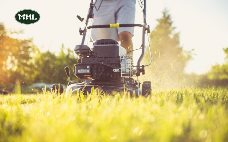 How to Choose the Best Lawn Mowing Companies Near Me in Denver