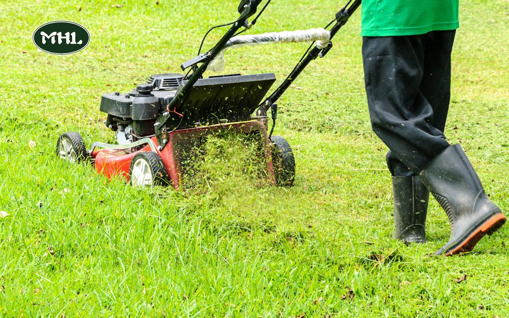 How to Ensure Quality Lawn Mowing Service