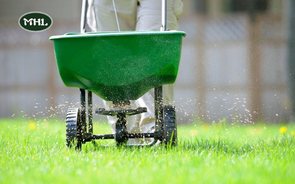 Key Components of Spring Lawn Care