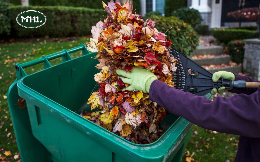 Key Elements of a Spring Clean Up Landscaping Service