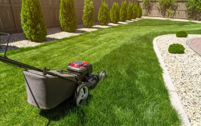 Lawn Care Service: Affordable Lawn Care Near Me in Denver CO